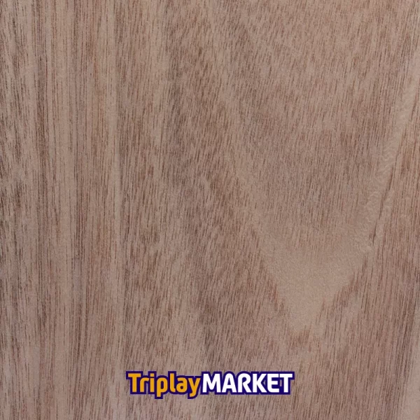 Enchapado MDF TriplayMARKET - Imagen 4