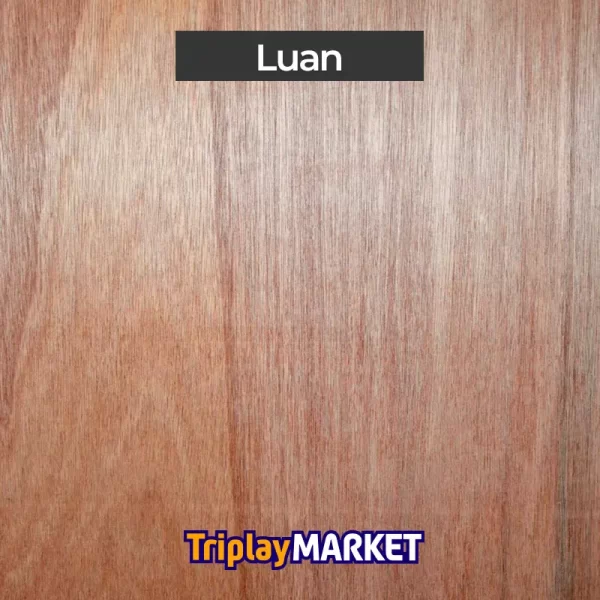 Triplay de Carpintería TriplayMARKET, Decorativo - Imagen 3